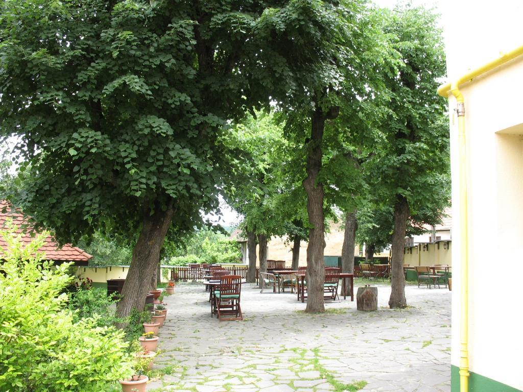 Pensiunea Sub Cetate Cisnădie Esterno foto