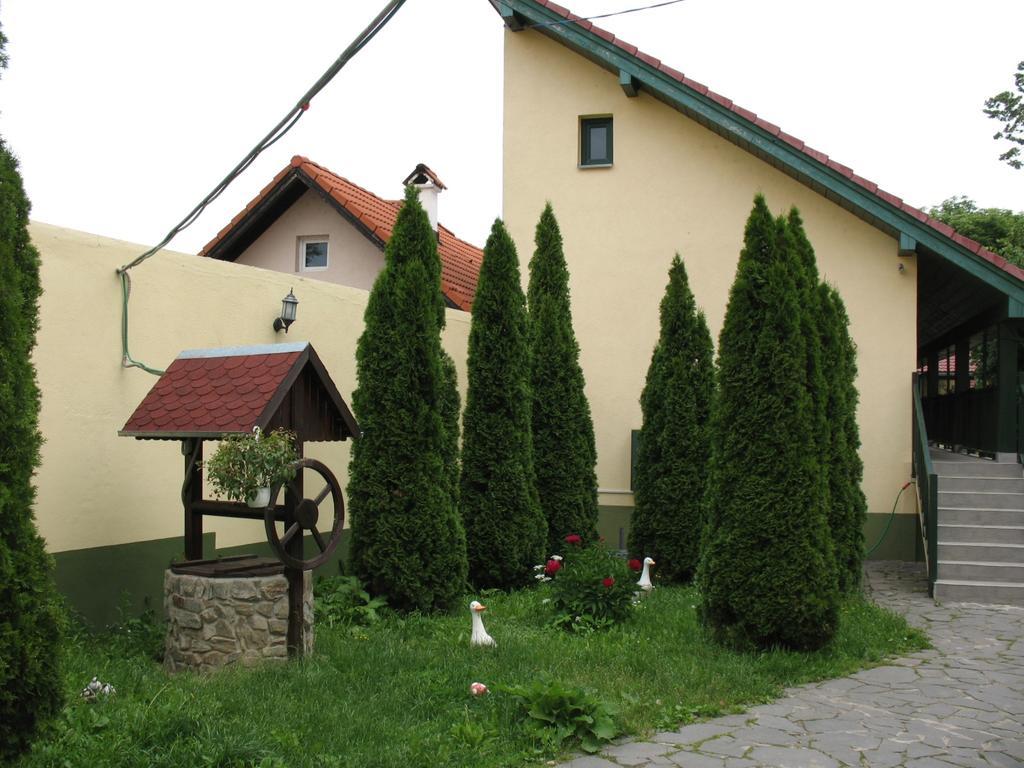 Pensiunea Sub Cetate Cisnădie Esterno foto