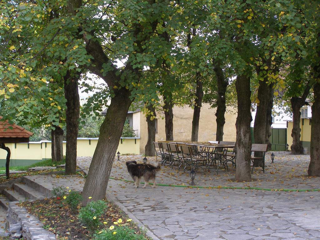 Pensiunea Sub Cetate Cisnădie Esterno foto